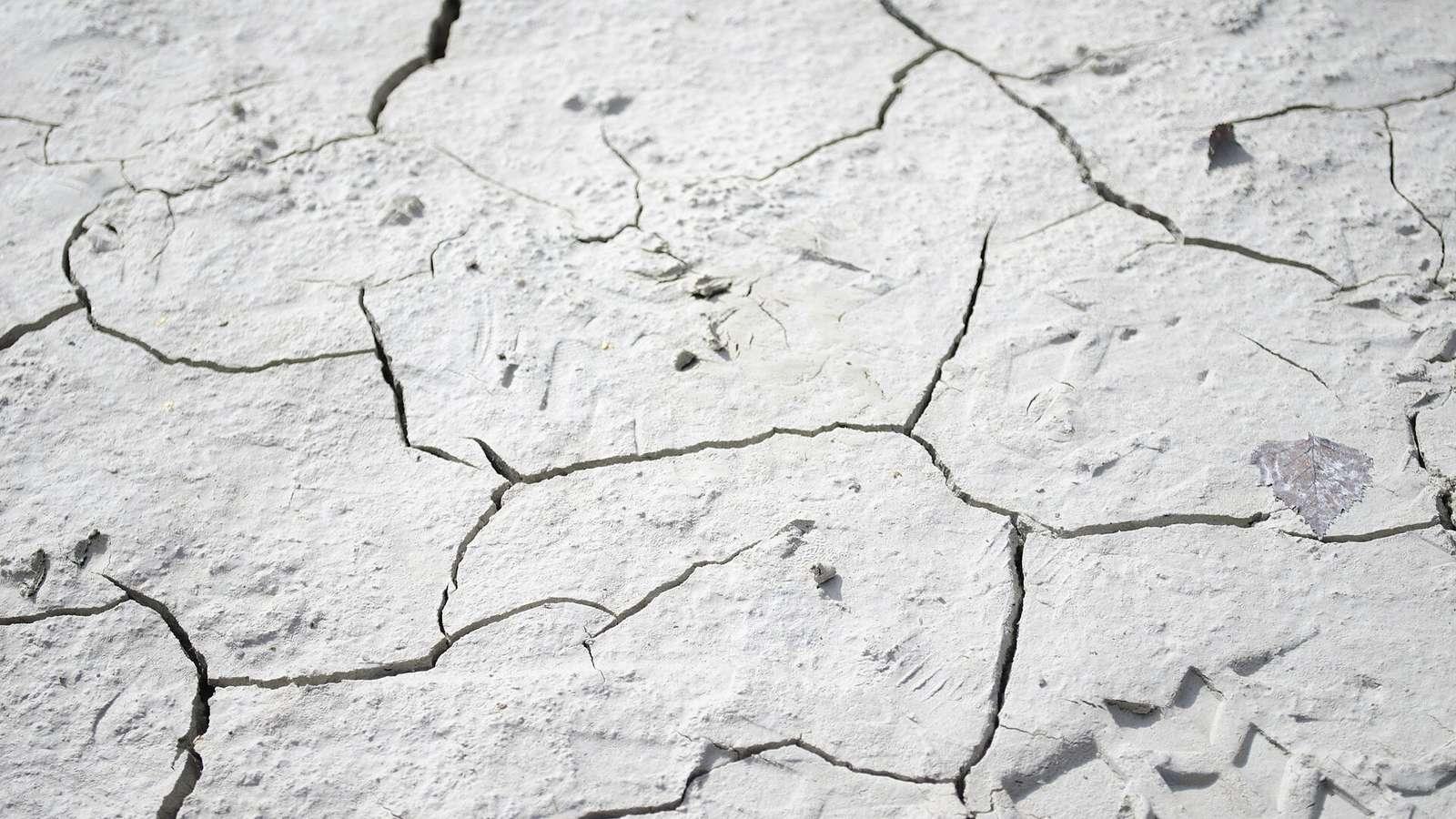 Sol argileux desséché, découpé en plaques par de larges fissures de retrait